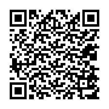 Codice QR per il numero di telefono +12038517877