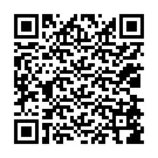 QR-Code für Telefonnummer +12038586829