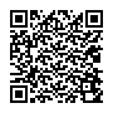 QR-Code für Telefonnummer +12038650362