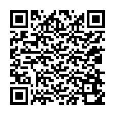 QR-code voor telefoonnummer +12038650368