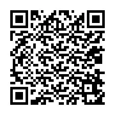 QR-код для номера телефона +12038651616