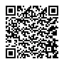 Codice QR per il numero di telefono +12038659538