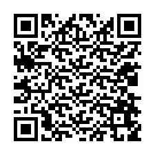 QR-code voor telefoonnummer +12038659776