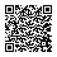 QR-код для номера телефона +12038659778