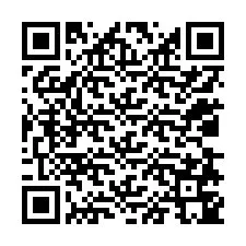 Codice QR per il numero di telefono +12038745128