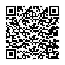 QR Code pour le numéro de téléphone +12038773607