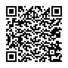 QR-code voor telefoonnummer +12038773617