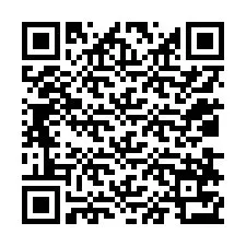 Codice QR per il numero di telefono +12038773618