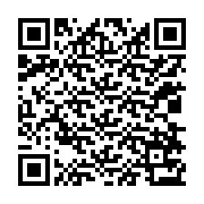 QR-code voor telefoonnummer +12038773620