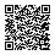 QR Code pour le numéro de téléphone +12038773957