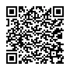 Codice QR per il numero di telefono +12038774198