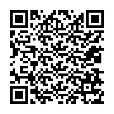 QR Code pour le numéro de téléphone +12038775587