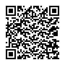 Codice QR per il numero di telefono +12038775588