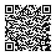 QR-Code für Telefonnummer +12038786838