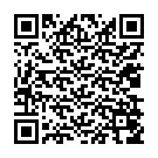 Código QR para número de telefone +12039056692