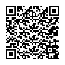 Código QR para número de telefone +12039081817