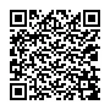 QR-koodi puhelinnumerolle +12039087528