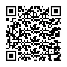 QR kód a telefonszámhoz +12039516885