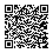 电话号码二维码 +12039516893