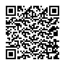 QR kód a telefonszámhoz +12039519614