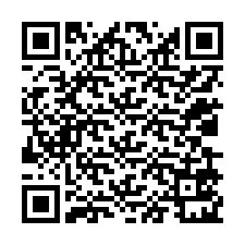 QR kód a telefonszámhoz +12039521878