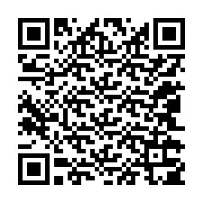 QR-code voor telefoonnummer +12042305878