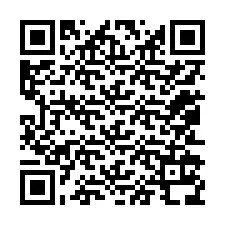 QR код за телефонен номер +12052138879