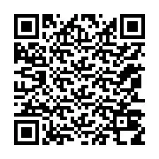 QR Code pour le numéro de téléphone +12053018961