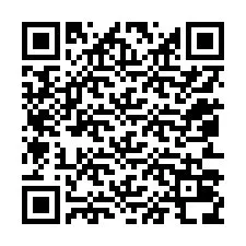 QR-code voor telefoonnummer +12053038208