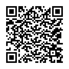 QR-Code für Telefonnummer +12053079739