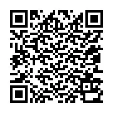 QR код за телефонен номер +12053130748