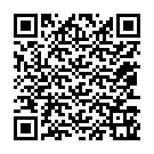 QR-Code für Telefonnummer +12053161169