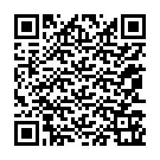 Codice QR per il numero di telefono +12053161170