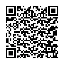 QR kód a telefonszámhoz +12053165534