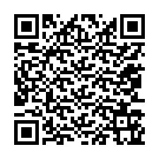 Codice QR per il numero di telefono +12053165536