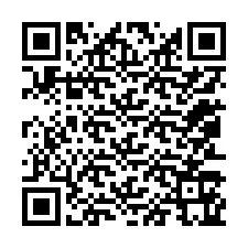 QR-code voor telefoonnummer +12053165979