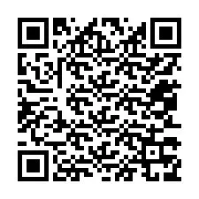 Codice QR per il numero di telefono +12053379033