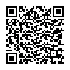 QR Code for Phone number +12053379038