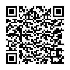 QR-koodi puhelinnumerolle +12053651878