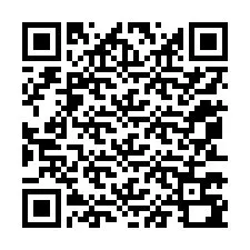 QR Code for Phone number +12053790070