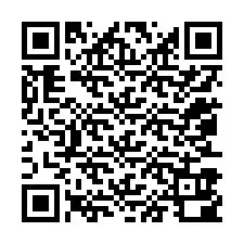 QR-code voor telefoonnummer +12053900098