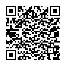 QR-code voor telefoonnummer +12053976240