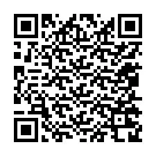 Código QR para número de teléfono +12055228966