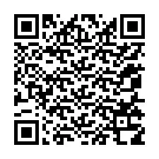 Codice QR per il numero di telefono +12055318700