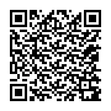 QR-код для номера телефона +12055381269