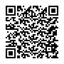 Codice QR per il numero di telefono +12055875955