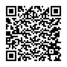 QR-code voor telefoonnummer +12056024738