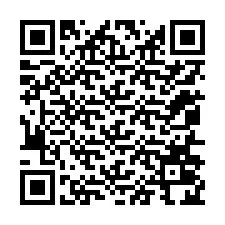 QR Code pour le numéro de téléphone +12056024741