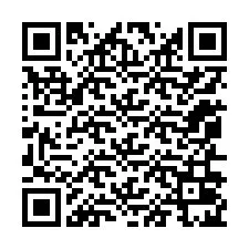 QR-code voor telefoonnummer +12056025065