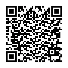 QR-код для номера телефона +12056035912